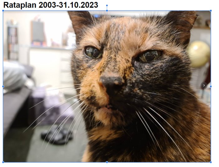 2023 12 30 Rataplan kopje