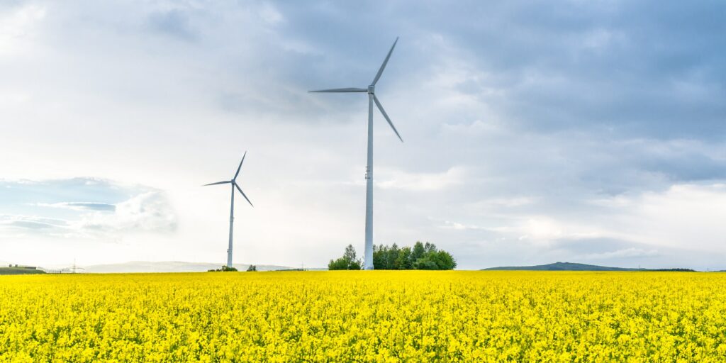 alternative energy