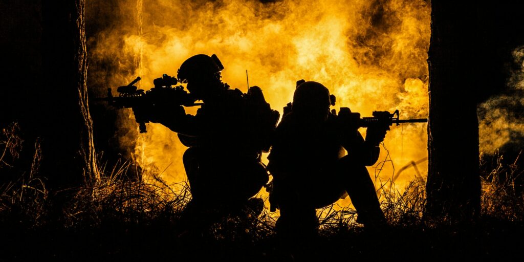 War in the forest