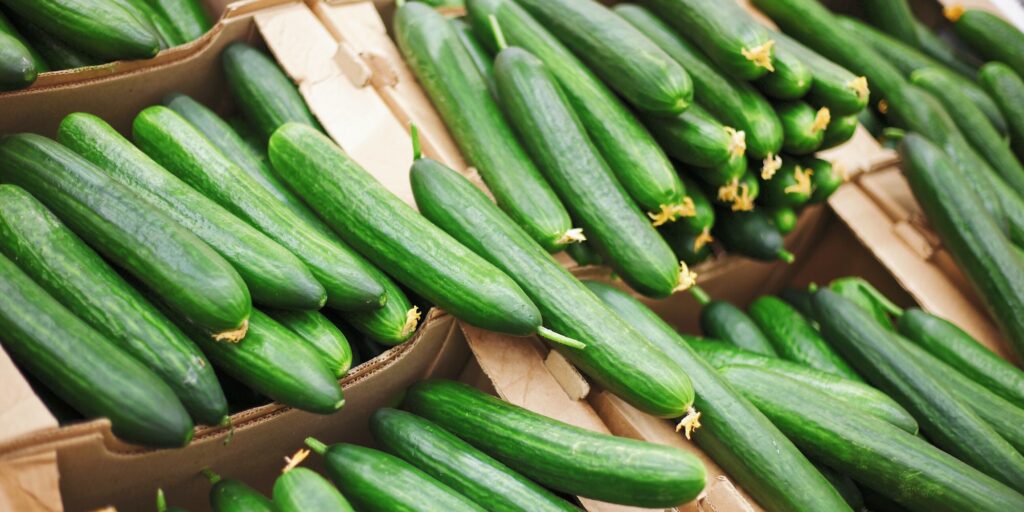 Cucumber