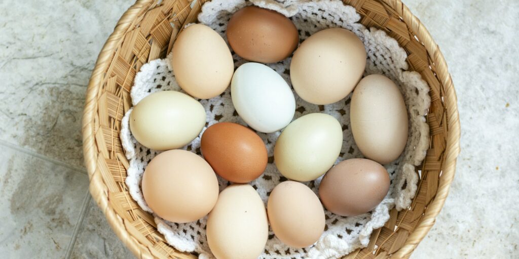 Basket of Eggs