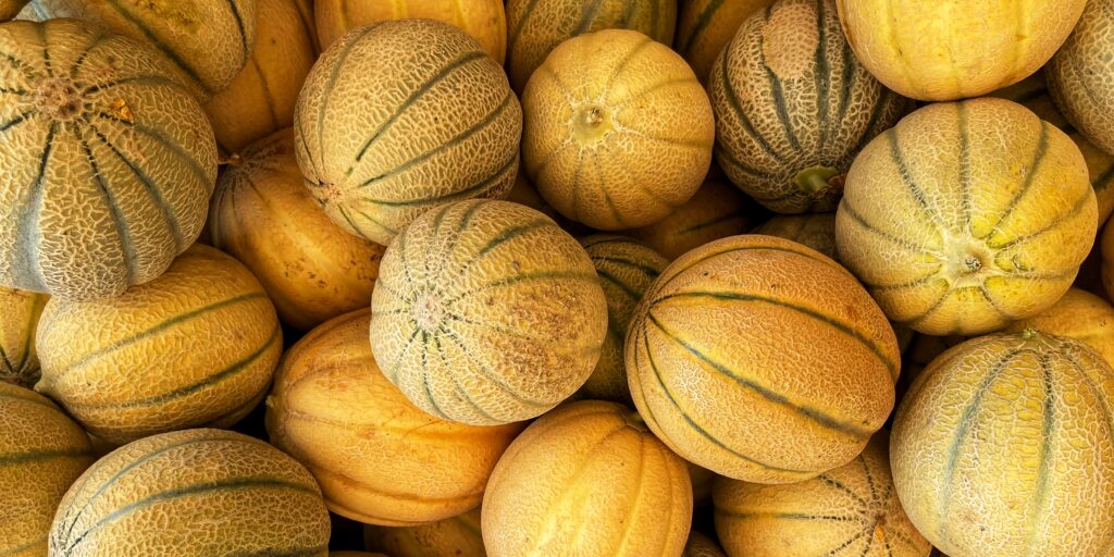 Cantaloupe melon