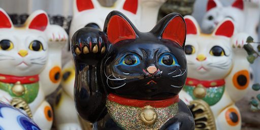 Chinese kat