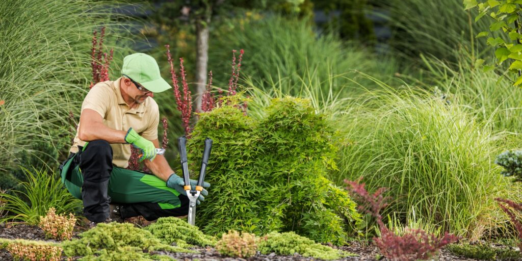 Professional Gardener with Garden Pruning and Cutting Tools
