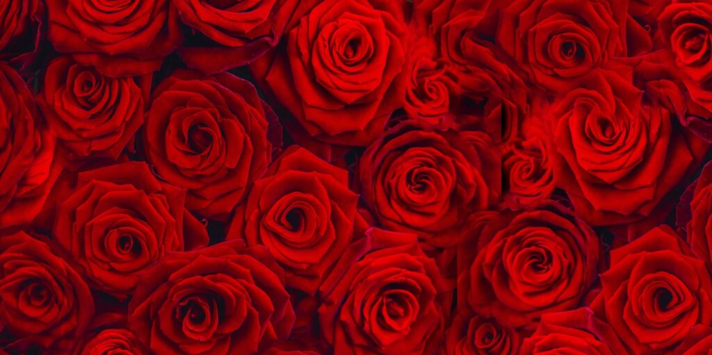 valentine