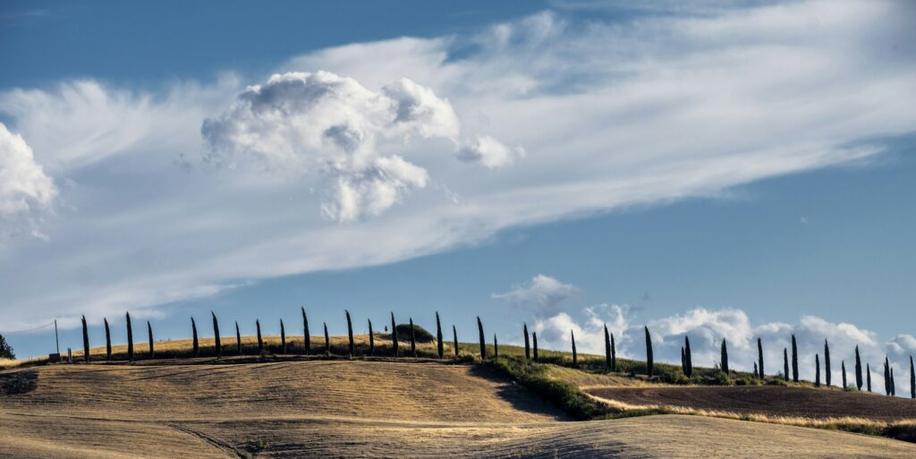 Summer landscape near Asciano