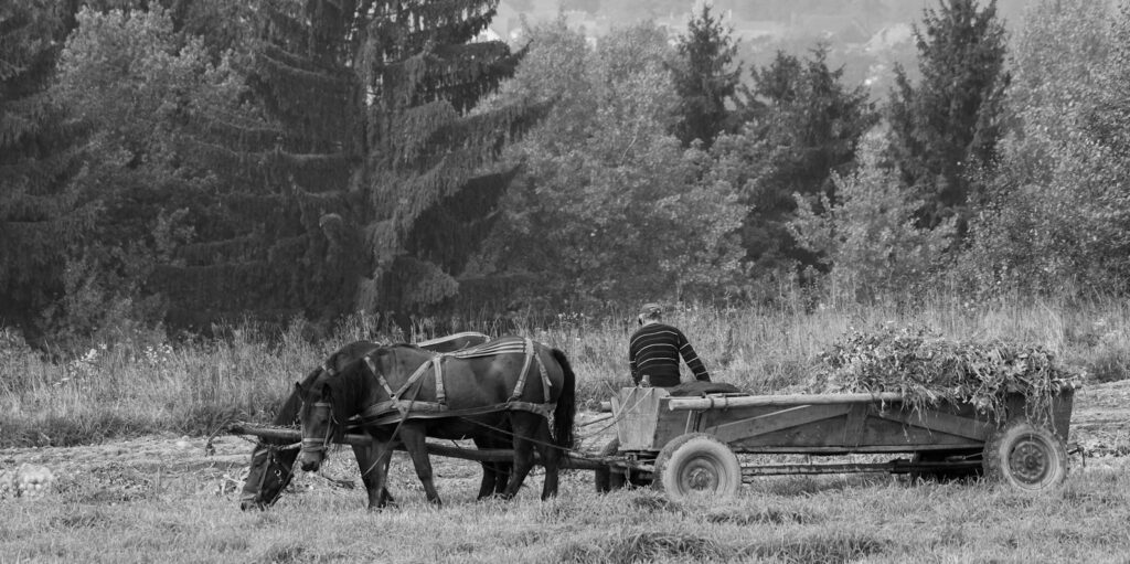 a peasant and a horse-drawn cart in the field