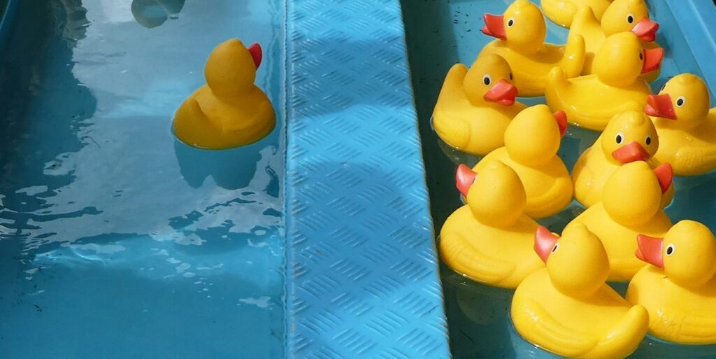yellow rubber ducks in water