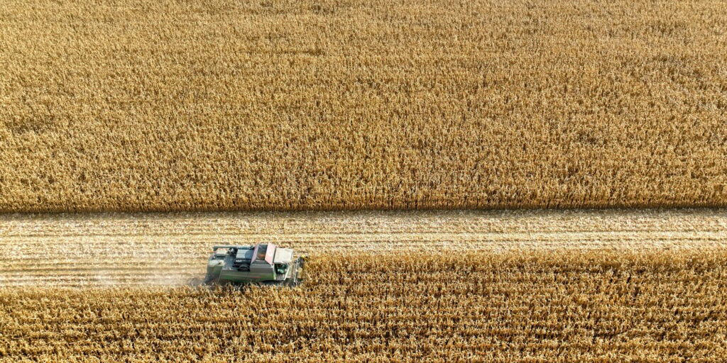 Aerial drone view of corn harvest. A photograph taken in agricultural lands in Turkey.