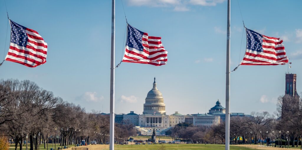 American Flags with US Capitol on background - Washington, D.C., USA