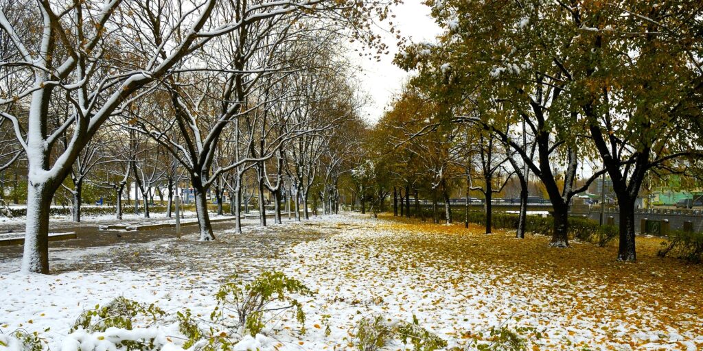 First early snow in city, winter vs autumn