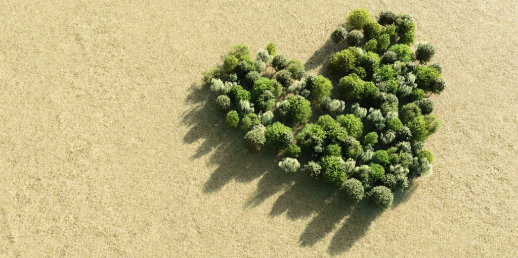 Green trees forming heart. Love, Valentine's day, Earth Day