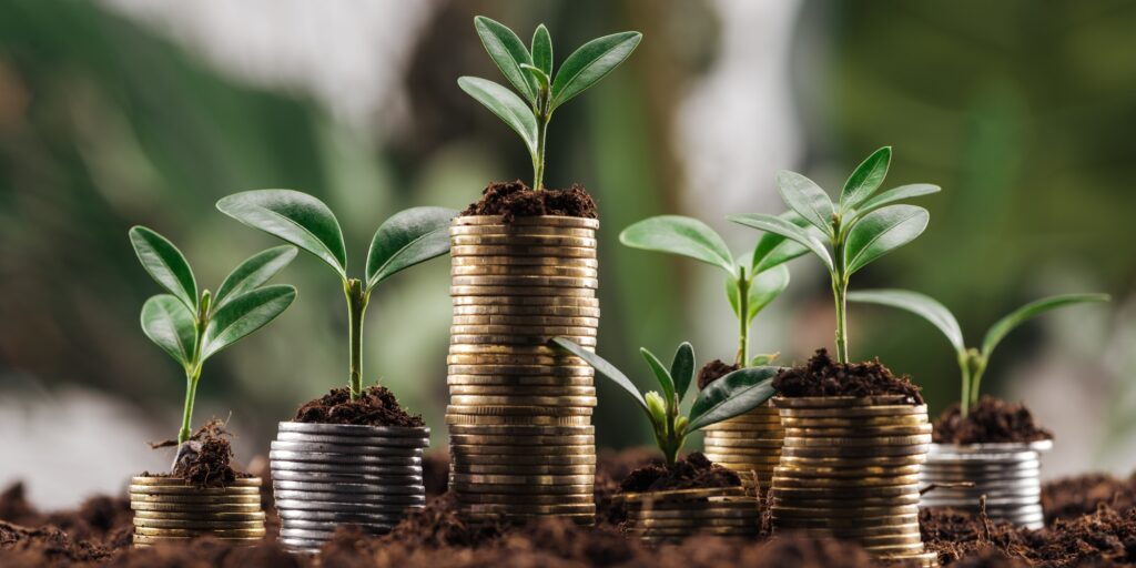 silver and golden coins with green leaves and soil, financial growth concept