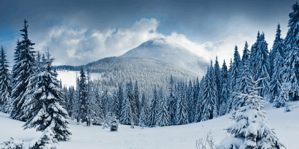 Winter- Canva
