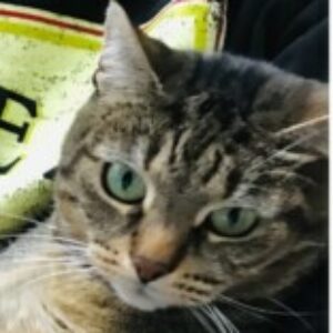 Profile photo of RIA (Maria) Claes