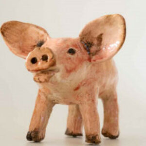 Profile photo of Bruno Eggermont